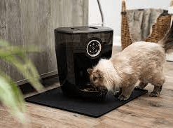 whisker feeder robot